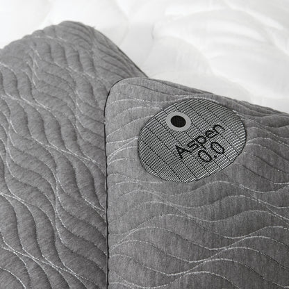 WS(cpk4)- Aspen Performance® Pillow