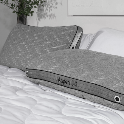 WS(cpk4)- Aspen Performance® Pillow