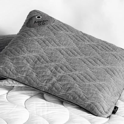 WS(cpk4)- Aspen Performance® Pillow