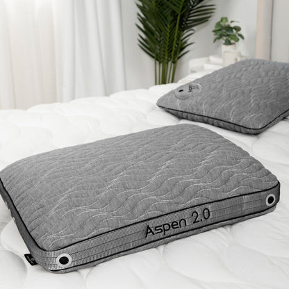 WS(cpk4)- Aspen Performance® Pillow