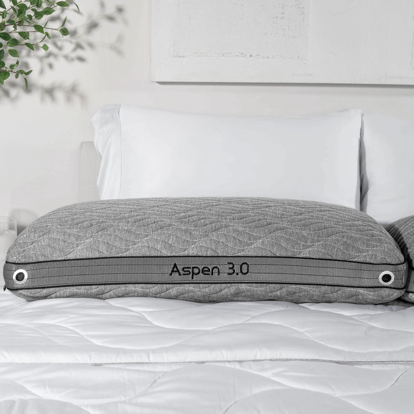 WS(cpk4)- Aspen Performance® Pillow