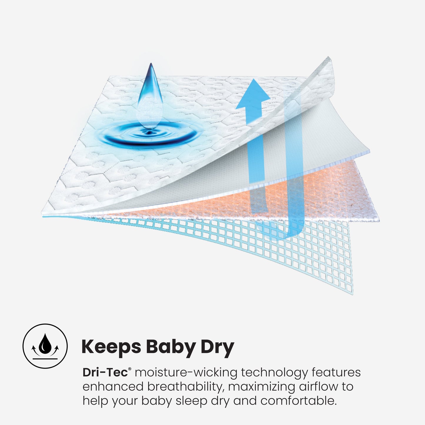 WS(cpk6)- Dri-Tec Crib Mattress Protector