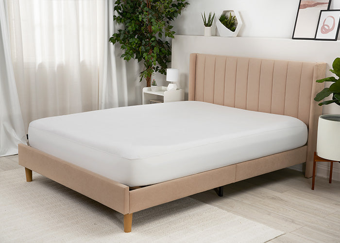 iProtect Mattress Protector